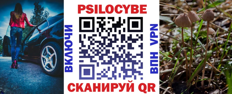 Псилоцибиновые грибы Psilocybe  Белоярский 