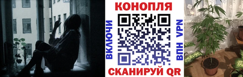 Бошки Шишки конопля  Белоярский 